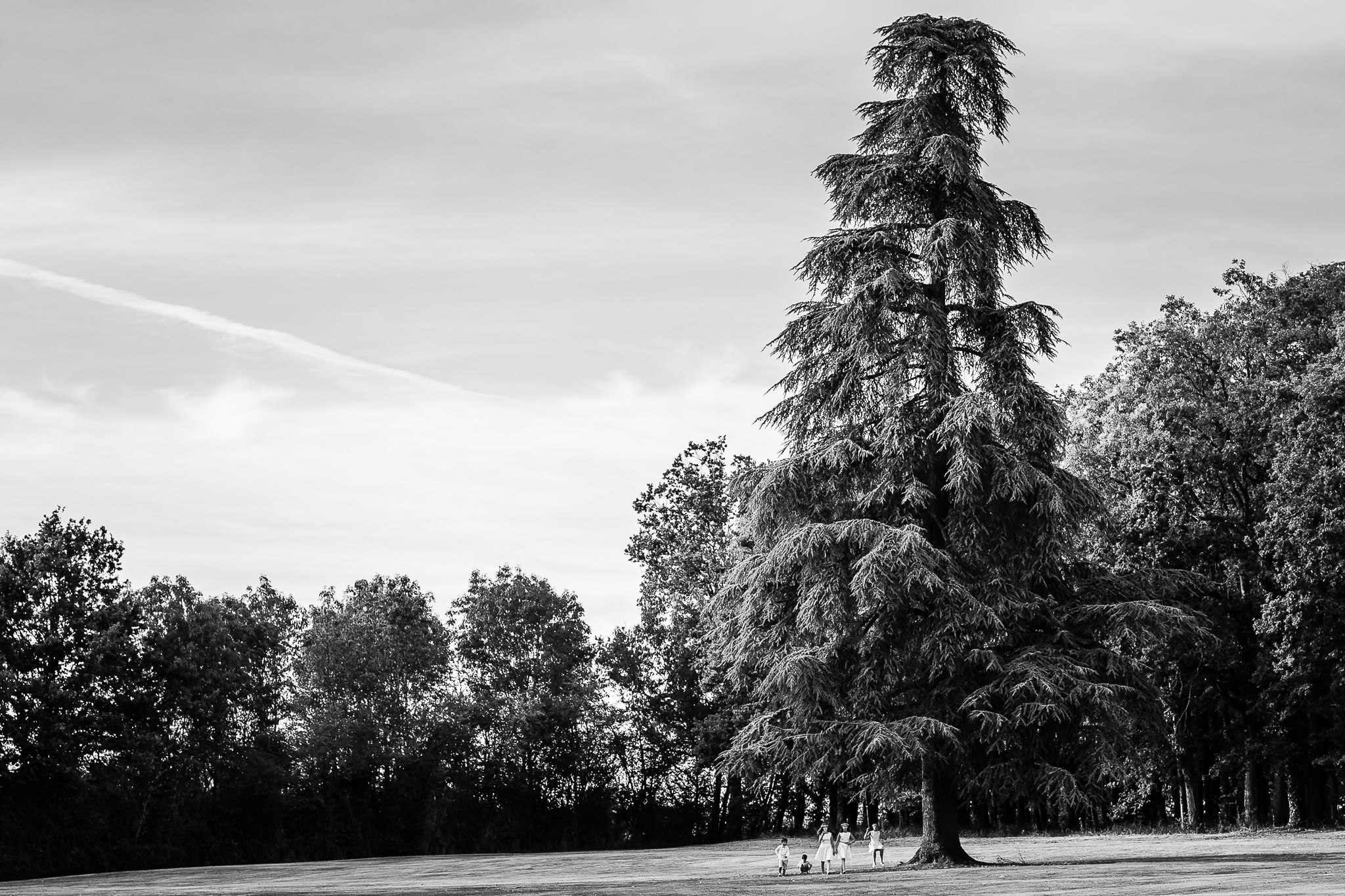 Henri Deroche Photographe Mariage Orleans 0006