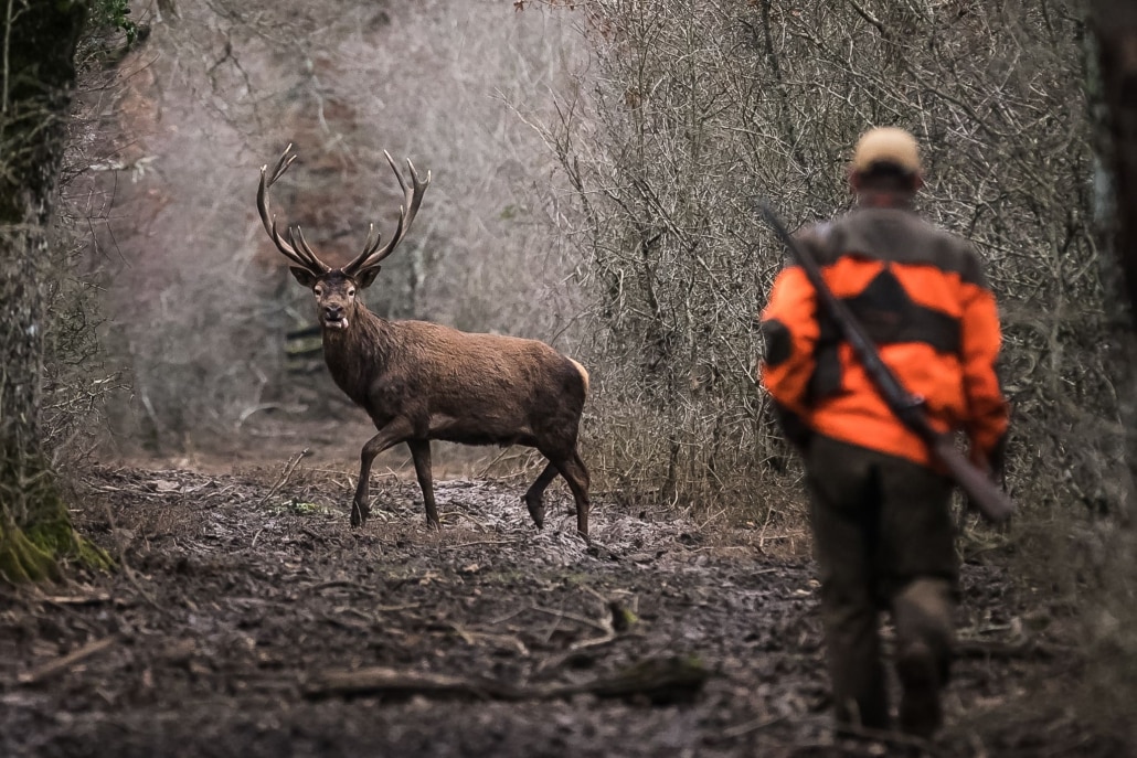 Henri_Deroche_Photographer_hunting_France Photo reportage of hunting in the wild